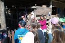 DSC03169.jpg