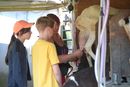 DSC03213.jpg