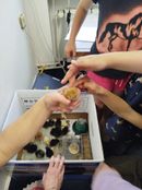IMG_20250415_163357.jpg